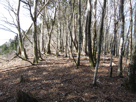 20200110hike (63)